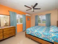 Spacious 5-bedroom house views of El Yunque and saltwater spa. Hotels in Rio Blanco