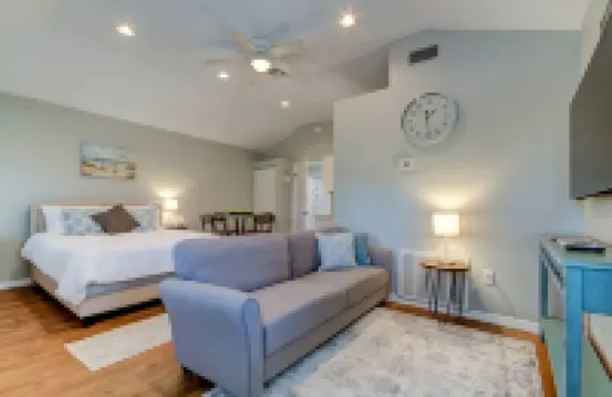 Spacious studio in Downtown Dunedin! Super Cute and Comfortable!