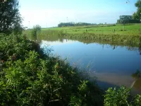 Beautiful fine apartment with garden, meadow, view of water and land
