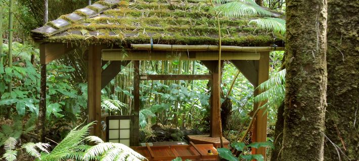 Volcano Rainforest Retreat Hotéis em Volcano