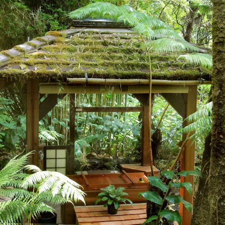 Volcano Rainforest Retreat