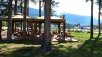 Rocky Inn Hotel di Valemount