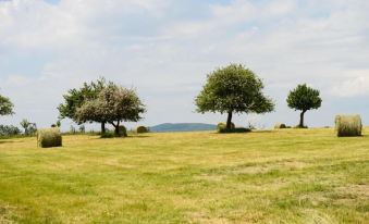 Logis la Lentillere - Restaurant Côté Parc