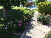 Maple Leaf Motel & RV Resort Hotels in Cawston