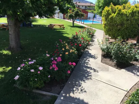 Maple Leaf Motel & RV Resort