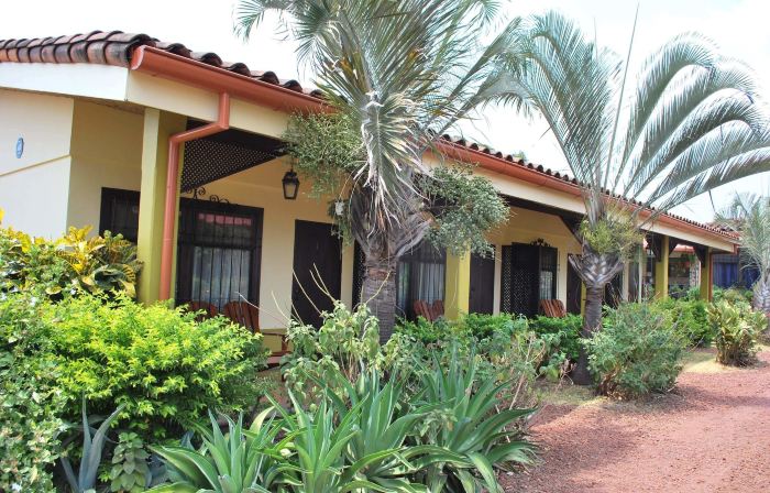 Dos Palmas Studio Apartments