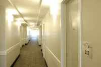 The View Hotel - Pet friendly