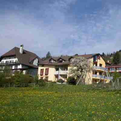 L'AUBIER Eco-Hôtel Montezillon Hotel Exterior