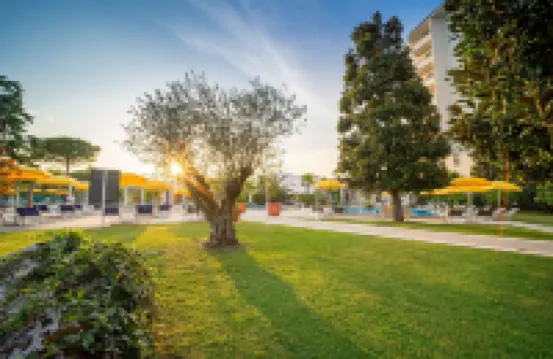 Hotel Ariston Molino Buja
