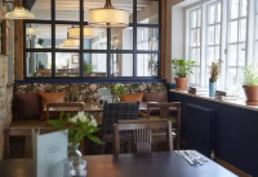 Rose Revived by Chef & Brewer Collection - Wifi