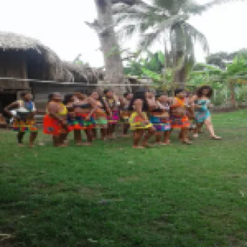 Hospedaje Casa Cultural Wounaan Hotels in 