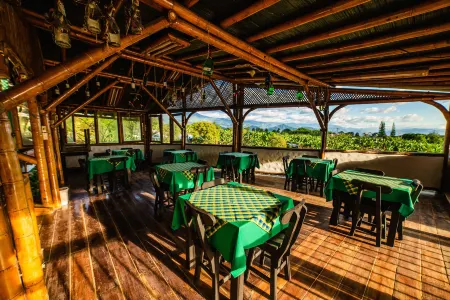 Eco Hotel las Palmas