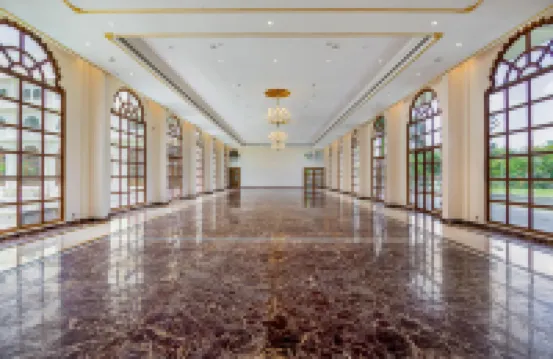 斯特林阿拉瓦利烏代布爾