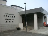 Pension Green Wind Hotels in Rishirifuji