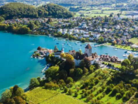 BERG & BERG APARTMENTS - Spiez Self-Check-in Hotels in Spiez