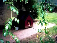 Kurrajong Trails and Cottages Hotels in Kurrajong Heights