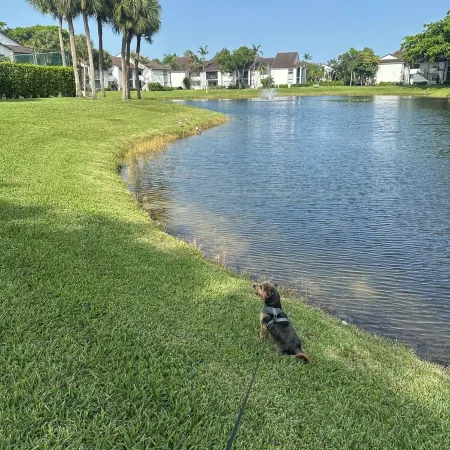 Boater’s Paradise! Beautiful Home on the Water with 2 Boat Lifts & Dockage Space