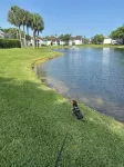 Boater’s Paradise! Beautiful Home on the Water with 2 Boat Lifts & Dockage Space