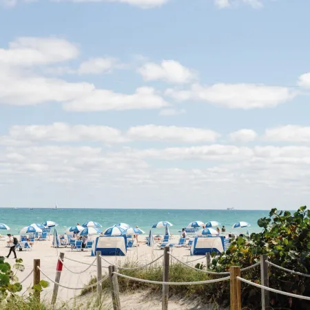 Mr. C Miami - Coconut Grove