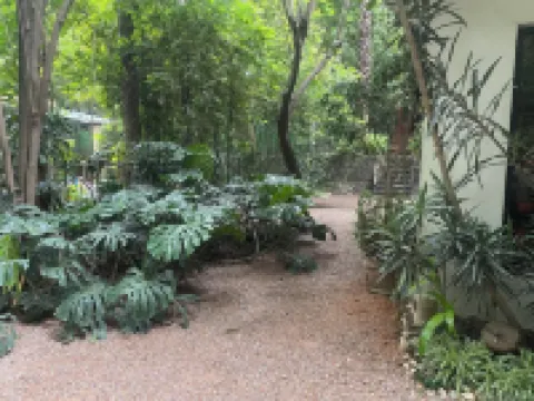 House among trees. فنادق في 