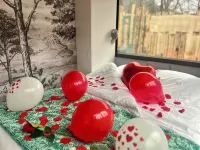 Unusual, intimate lodge with Nordic bath in the heart of Alsace Hotels in Orbey