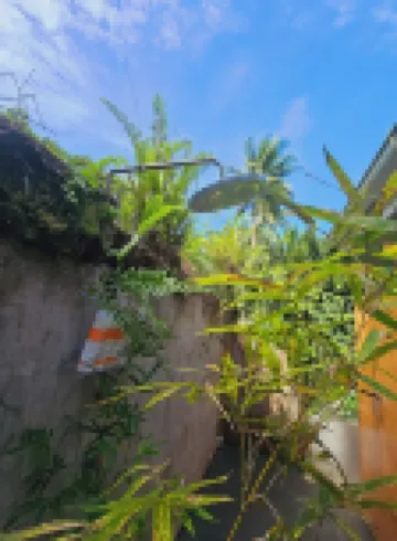 Enjoy a secluded beach escape in this charming cottage. 酒店