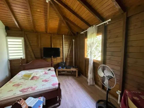 Évasion Créole : Superb T3 with all modern comforts" - in French only