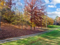 Vintage 50's & 60's theme Country Home on Wooded Acres near Franklin, Tennessee