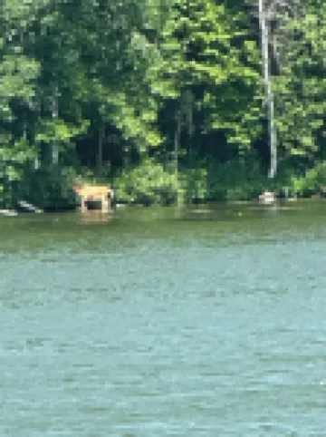 Charming 3-bedroom cabin with WiFi, AC in lovely Upper Turtle Lake.