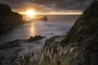 VILLAS NIMBU/CARAO Nosara- very mature jungle garden