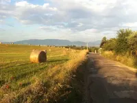 A quiet corner in the Roman countryside, among olive trees and vineyards. Hotel a Velletri