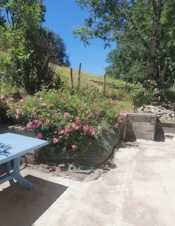 Pleasant, quiet apartment with terrace in the hills above La Bourboule.