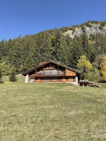 Superbe Chalet Proche Megève 阿爾利河畔普拉茲酒店