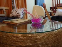 Sero Safaris Hostel - Ostelli