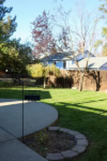 Uptown Park Drive Oasis