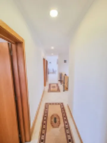 Loreto Rose | Panoramic Ocean and Mountain View