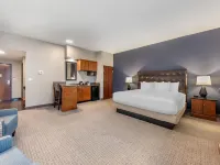 Drury Plaza Hotel San Antonio North Stone Oak Hotels in Bexar County