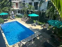 Wide Mouth Frog Quepos