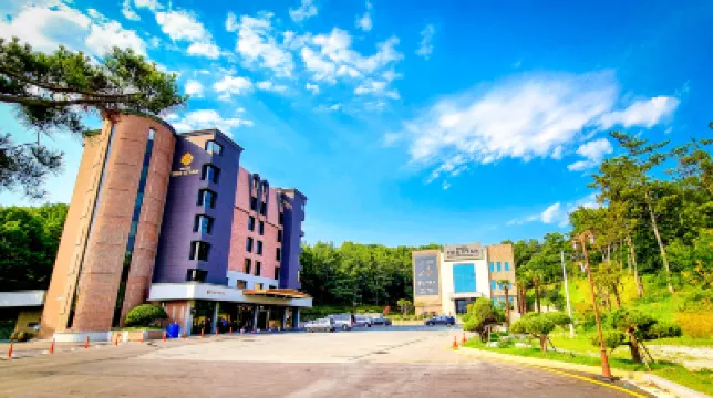 Hotel the Star Hotels in 