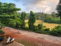 stay a while India Hotels in Agonda