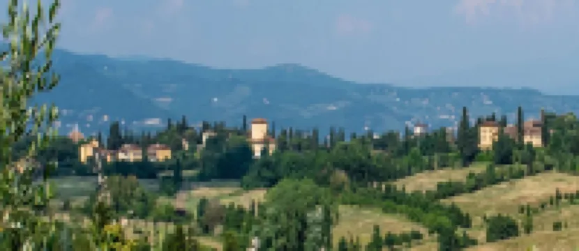 Torrino by Wynwood House