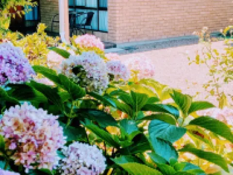 莫斯韋爾布魯克汽車旅館 莫斯韋爾布魯克酒店