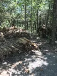 Wolf Den Cabin of Pomme de Terre