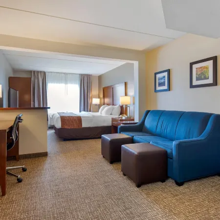 Comfort Inn & Suites Wilkes Barre - Arena