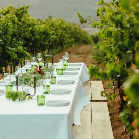 Domaine de Peretti Della Rocca