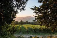 azienda agricola pandolfa - Homestays