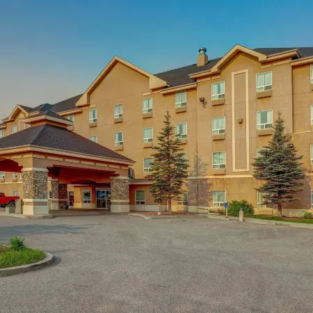 PRAIRIE CREST RED DEER by IHG