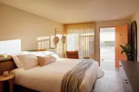 Dolphins of Mollymook Motel