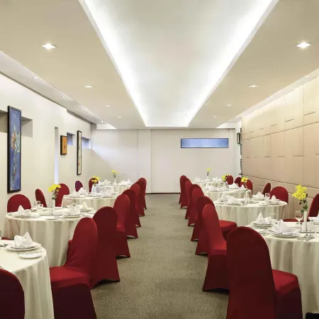 Ibis Styles Solo