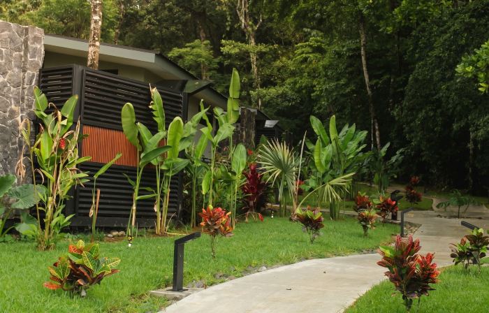Nuakú Jungle